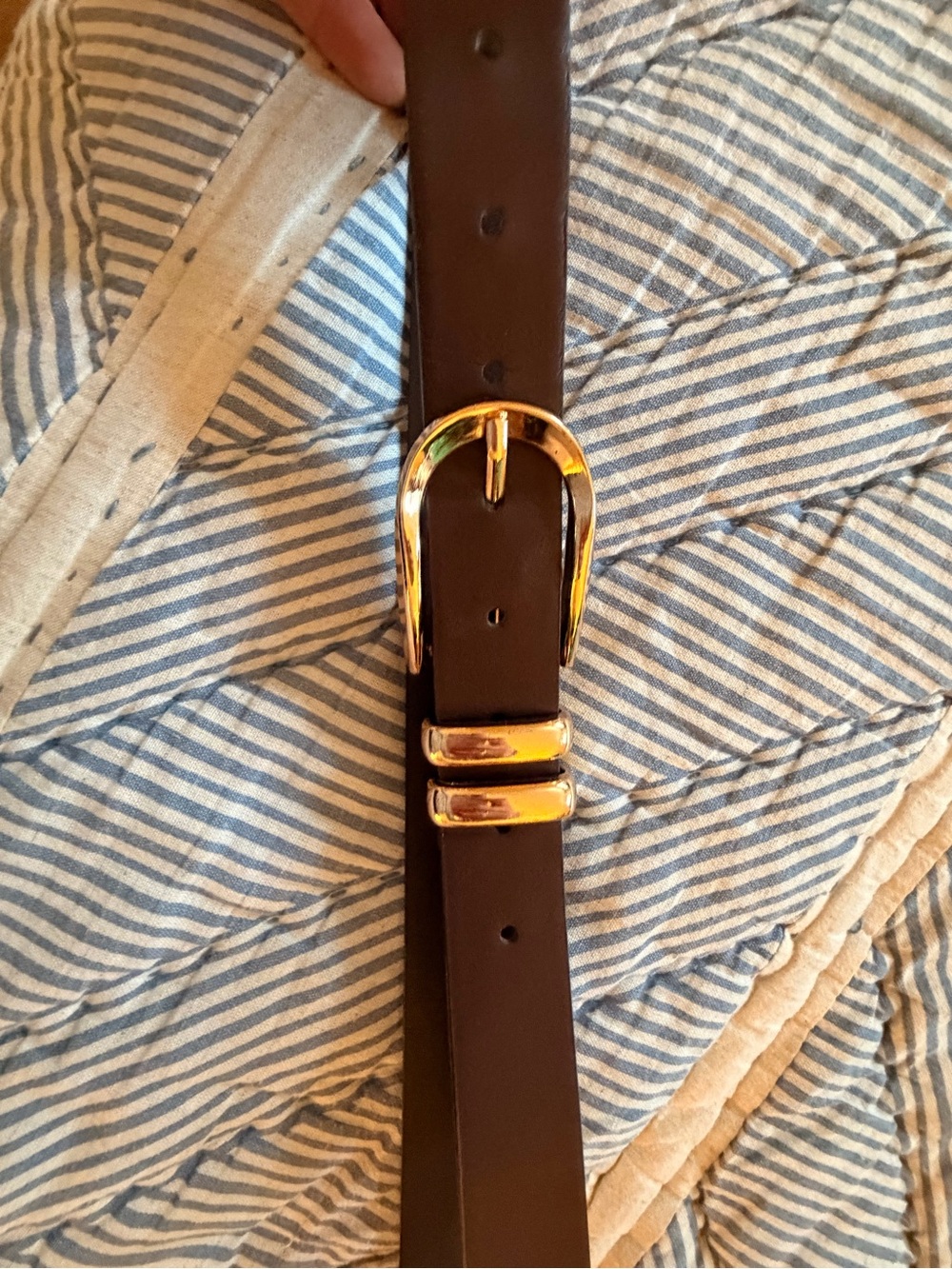 torrid Brown Belt with Gold Buckle